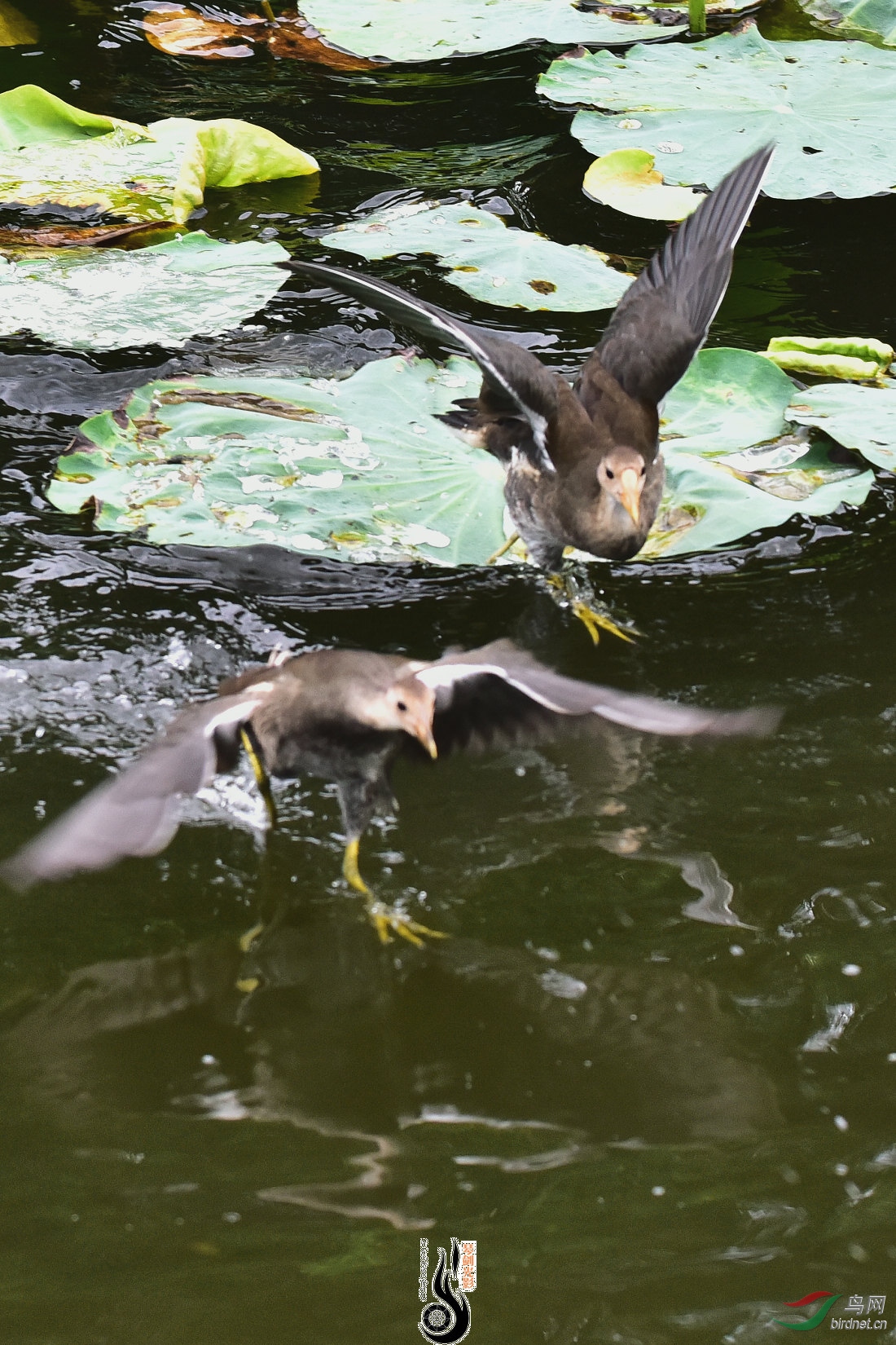 DSC_6720.JPG