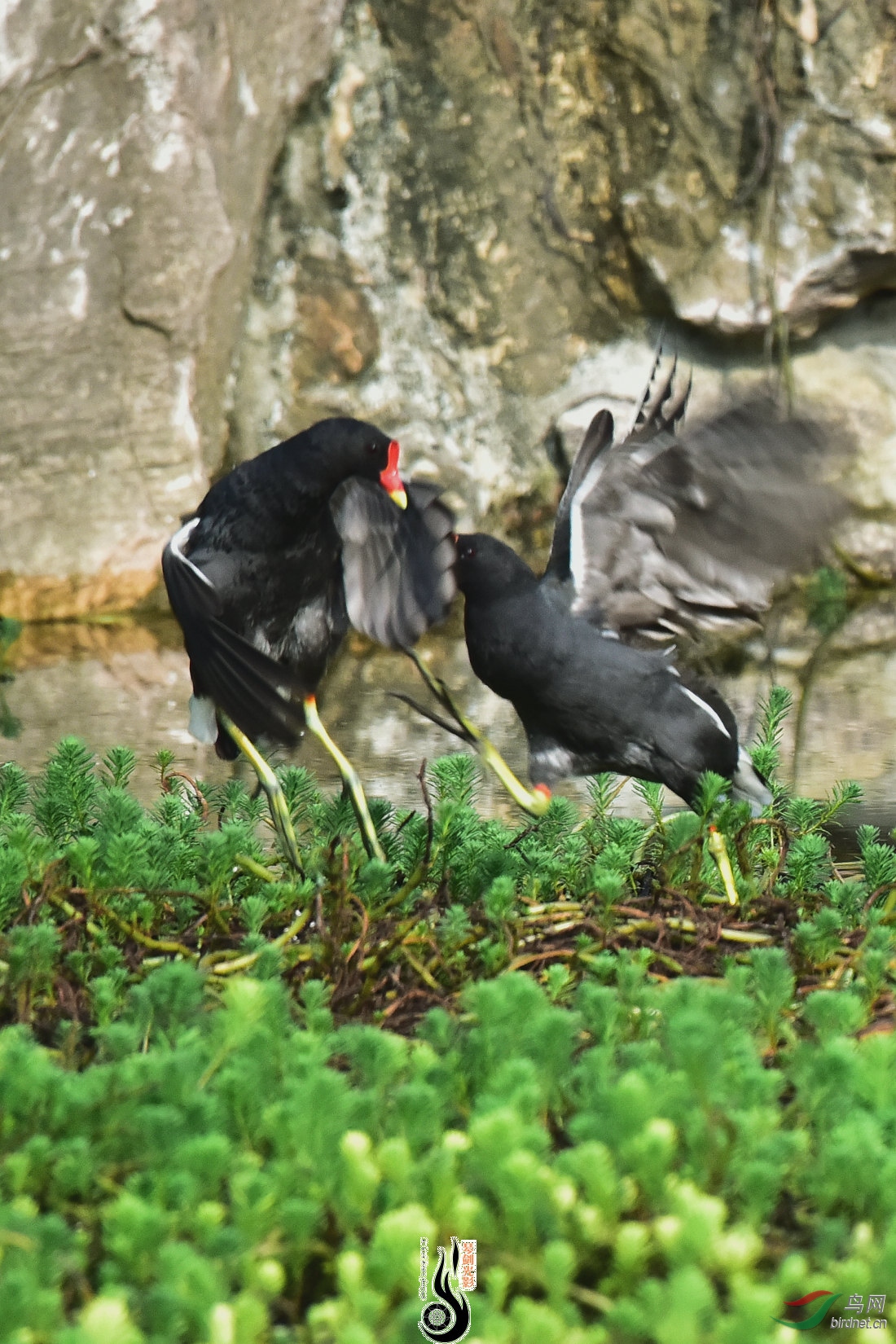 DSC_6864.JPG
