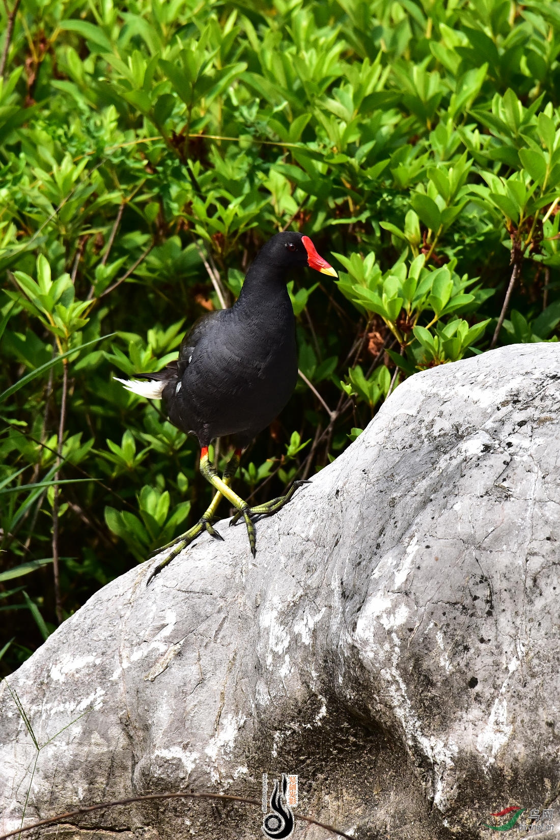 DSC_7221.JPG