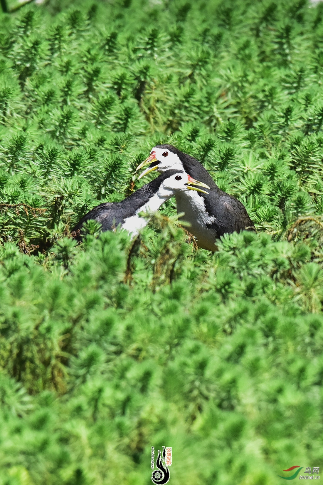 DSC_7692.JPG