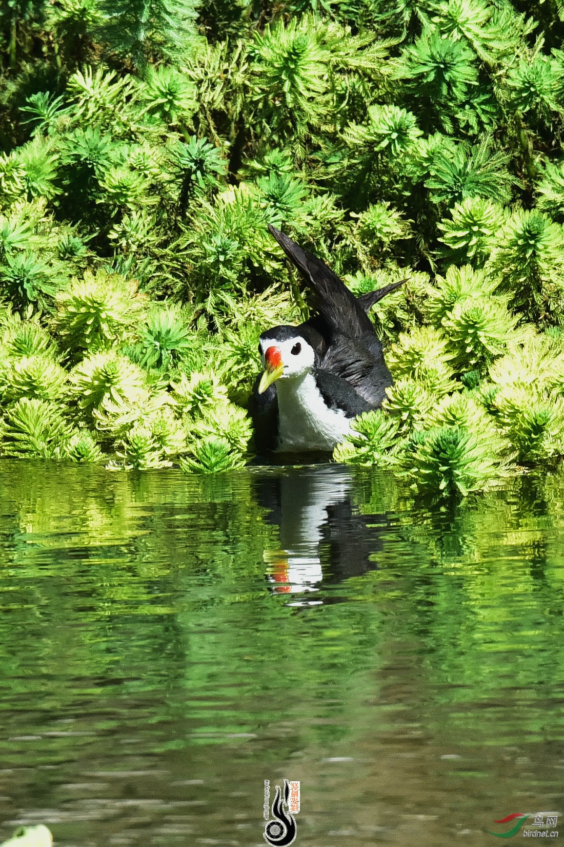 DSC_7727.JPG