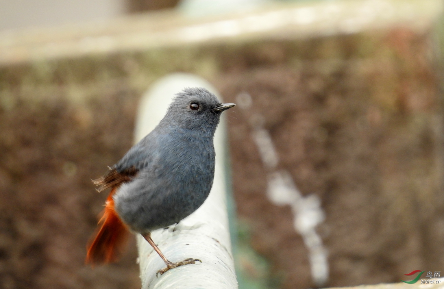 DSCN6177.JPG