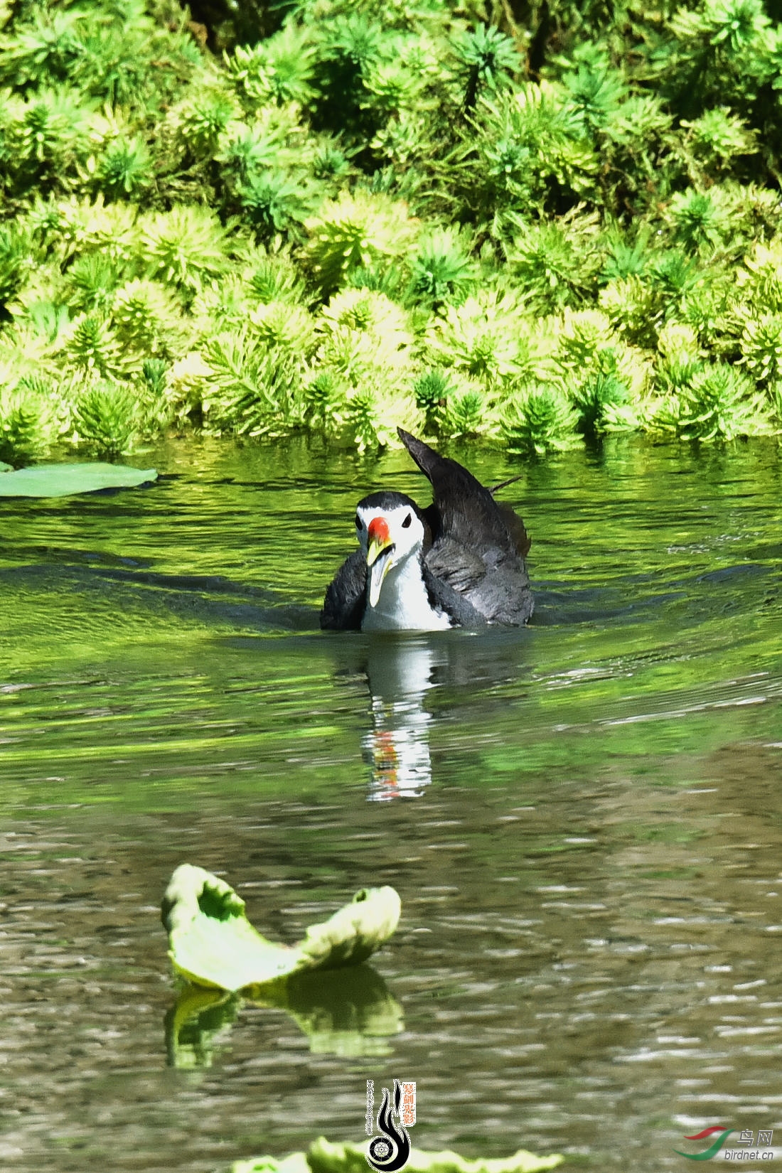 DSC_7734.JPG