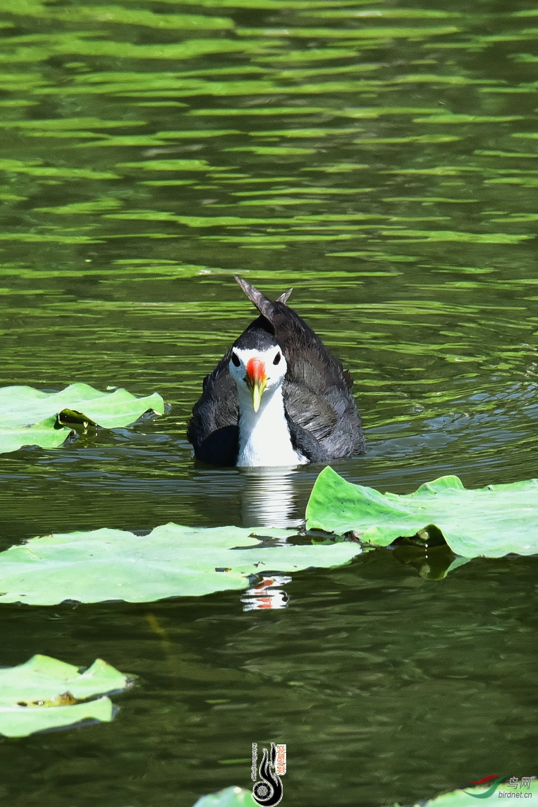 DSC_7755.JPG