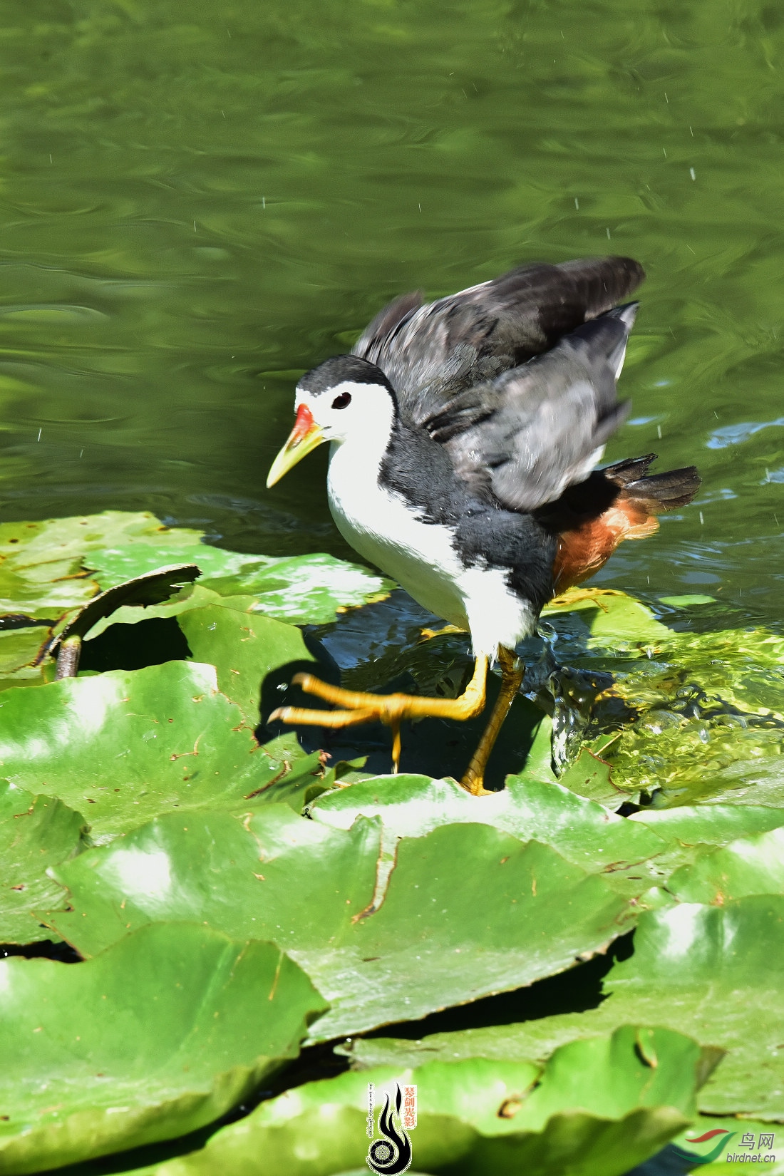 DSC_7773.JPG