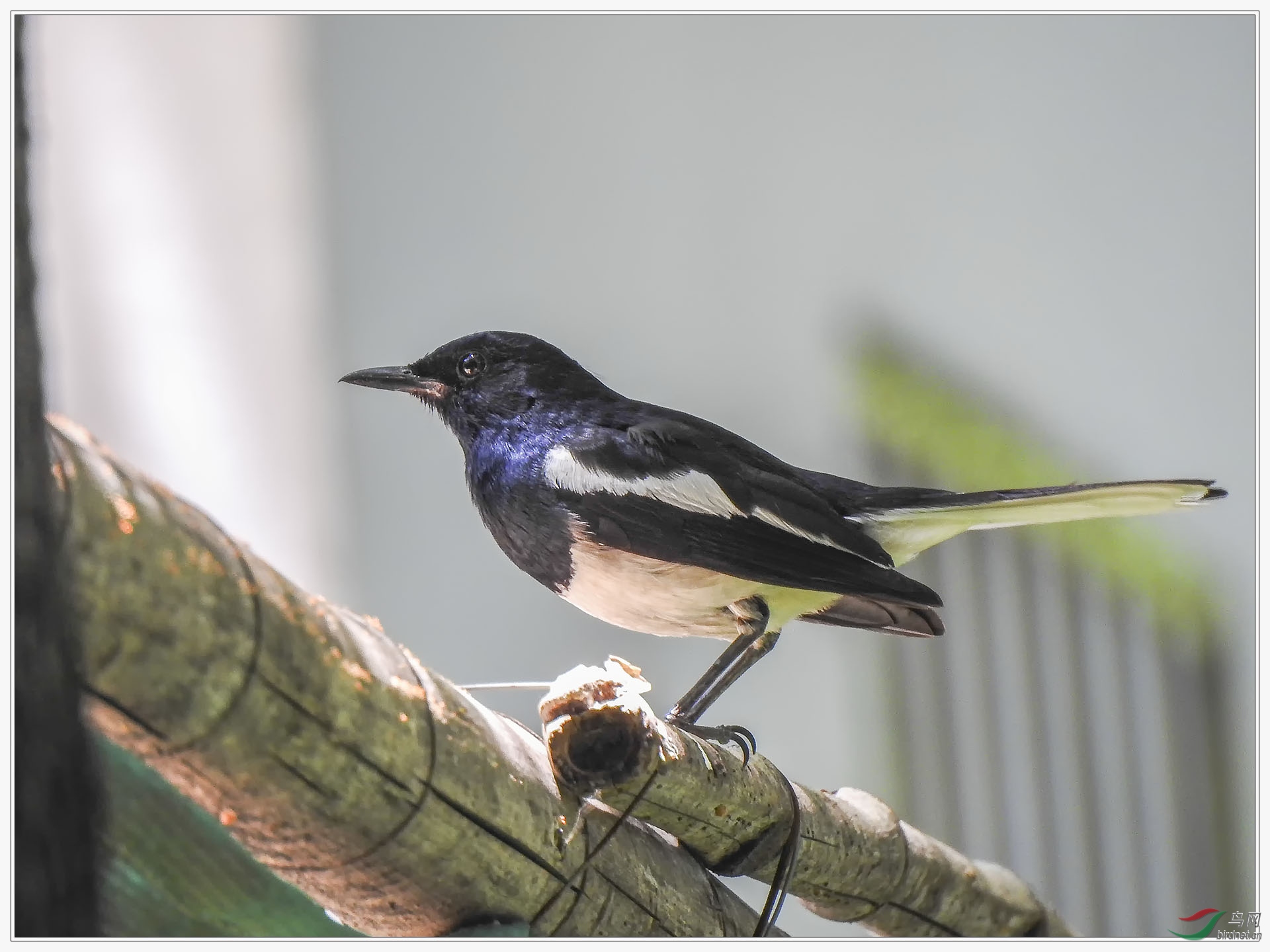 ��Ӱ�е�ȵ�6��