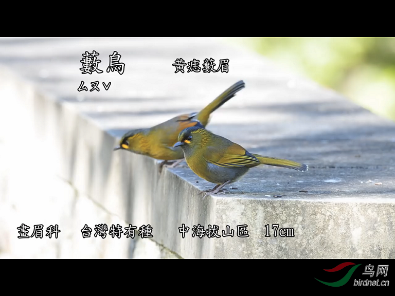 img_3166.png