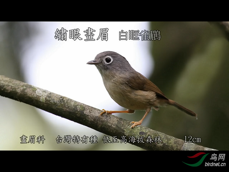 img_3183.png