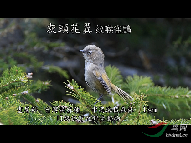 img_3182.png