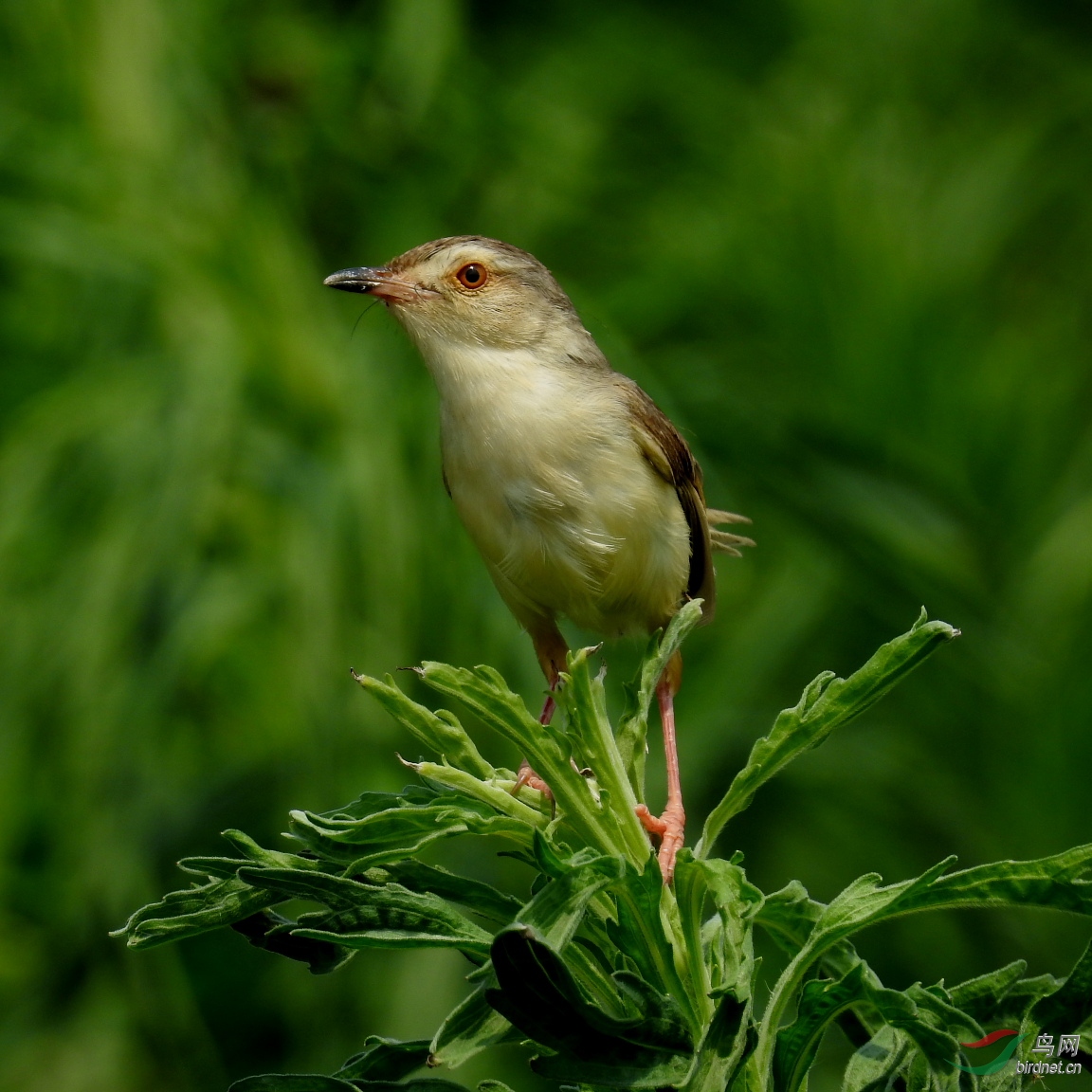 DSCN7734.JPG