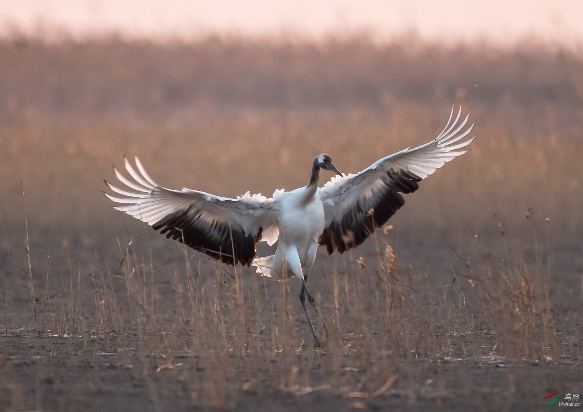 �������裺������ (1).jpg