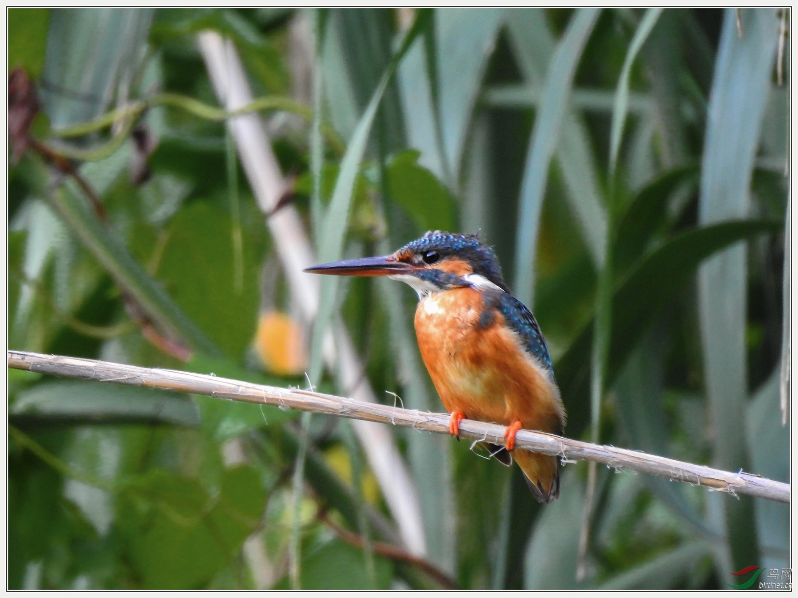 20�ױ���̫��