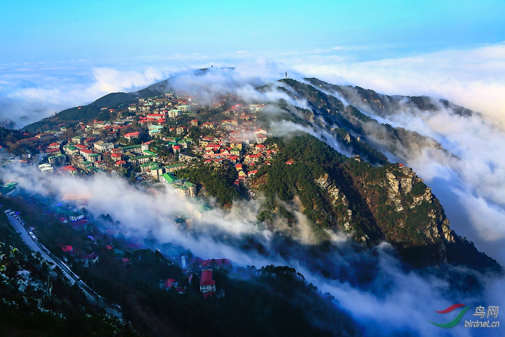 古岭云雾