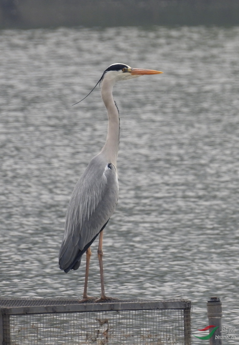 DSCN7716.JPG