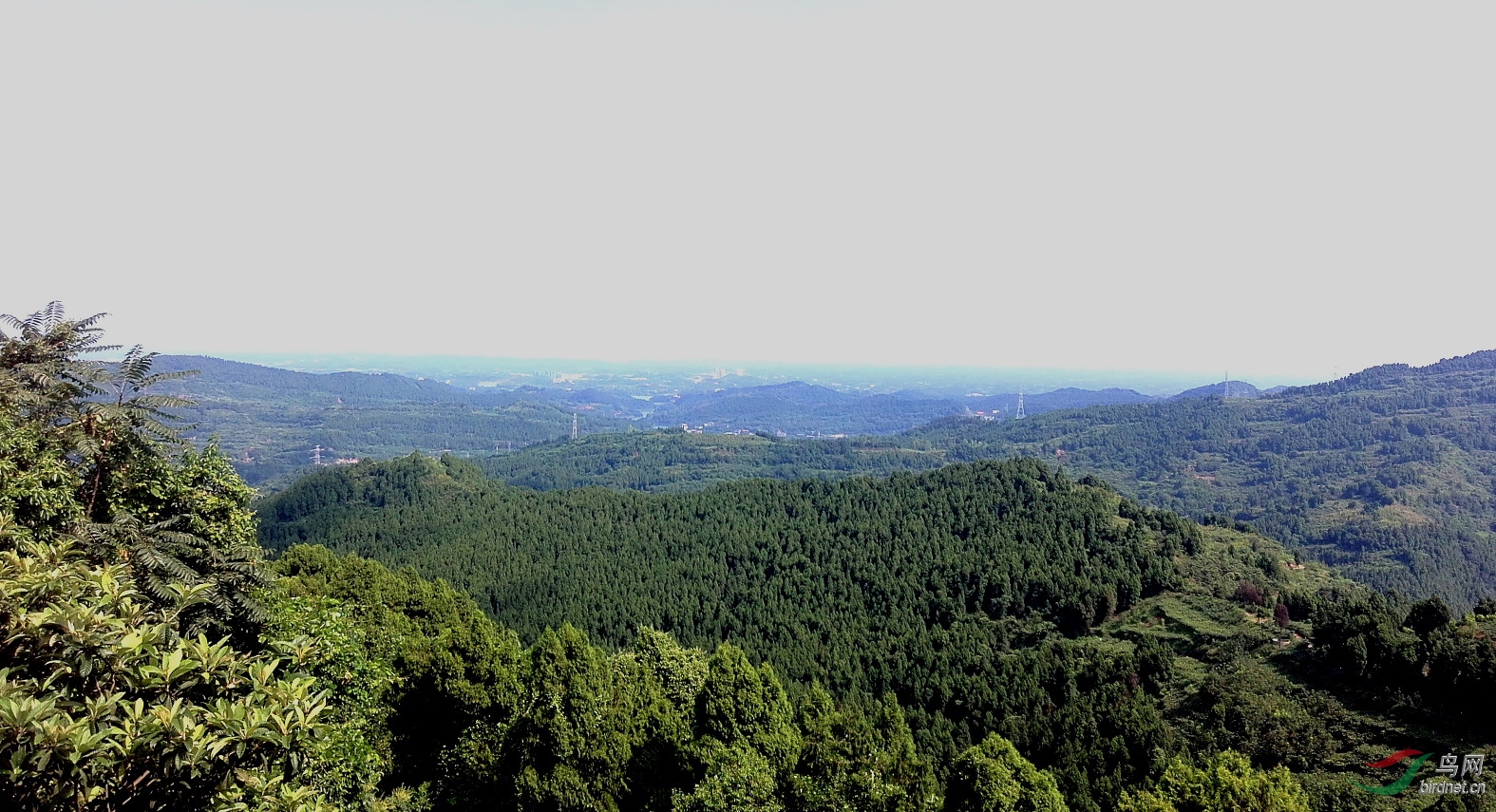 ����ɽ����ûʲô��