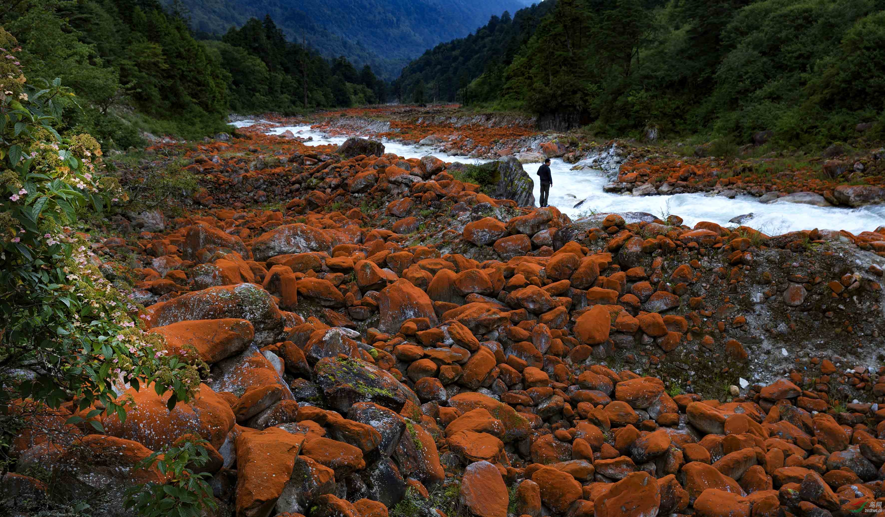 新康定溜溜城 雅家埂秋景