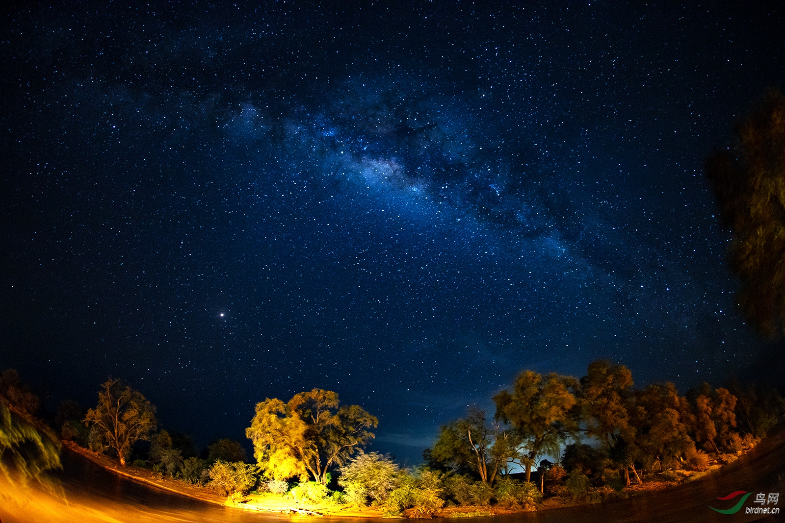 夜看星河
