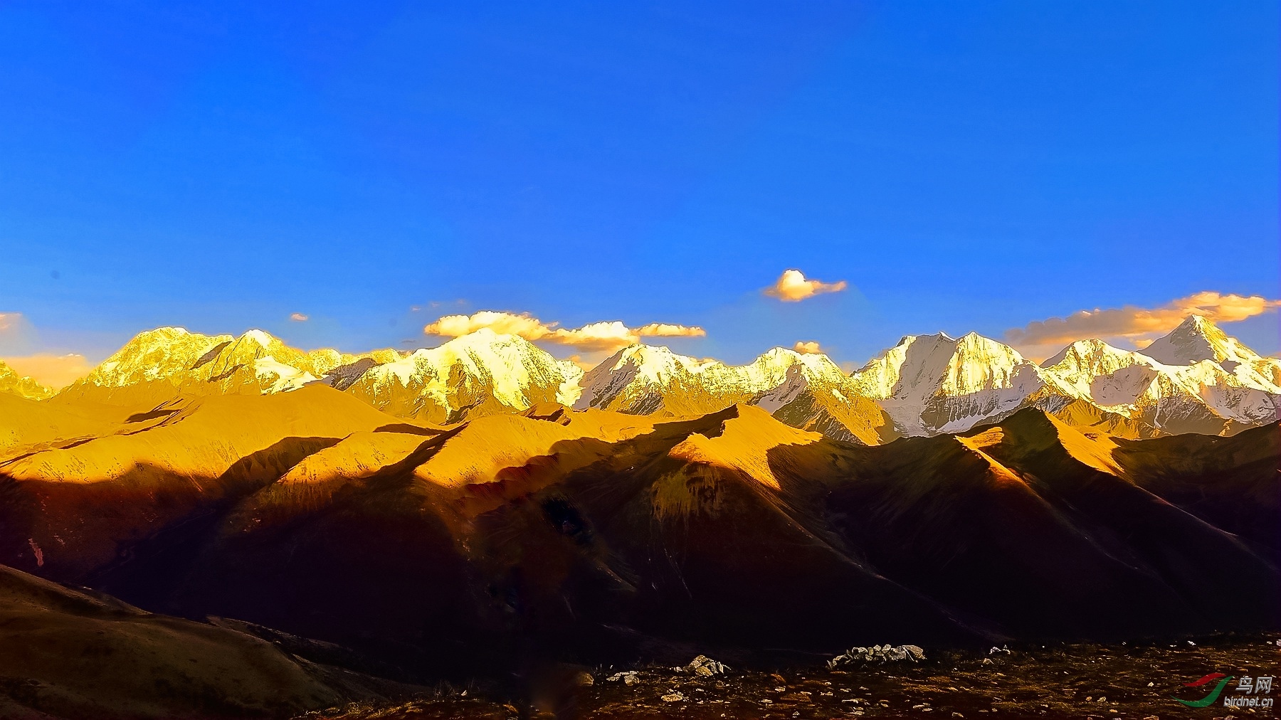 金色雪山祝贺荣获首页vlp综合精华