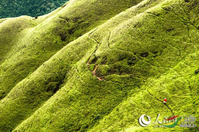 广西上思十万大山里的空中草原