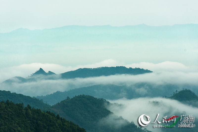 广西上思十万大山里的空中草原