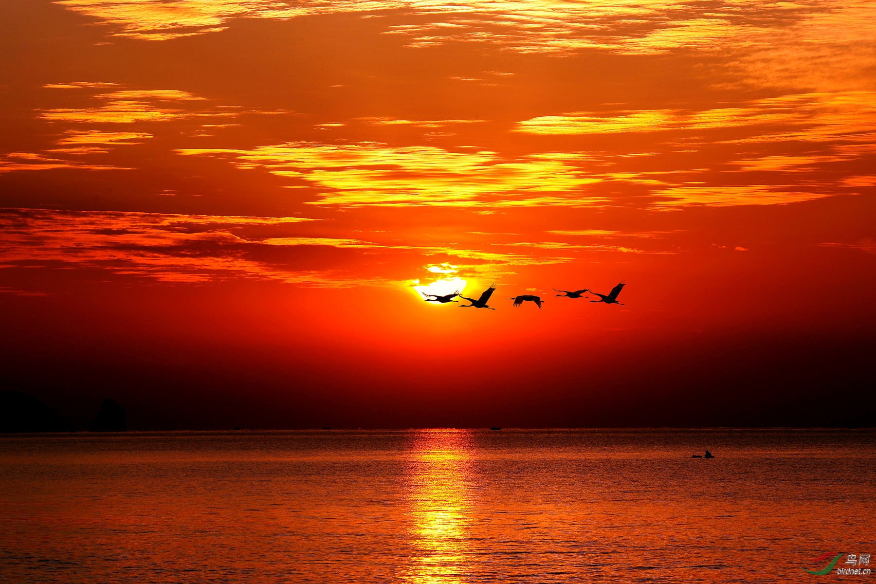 【视觉日记】今日彩云归