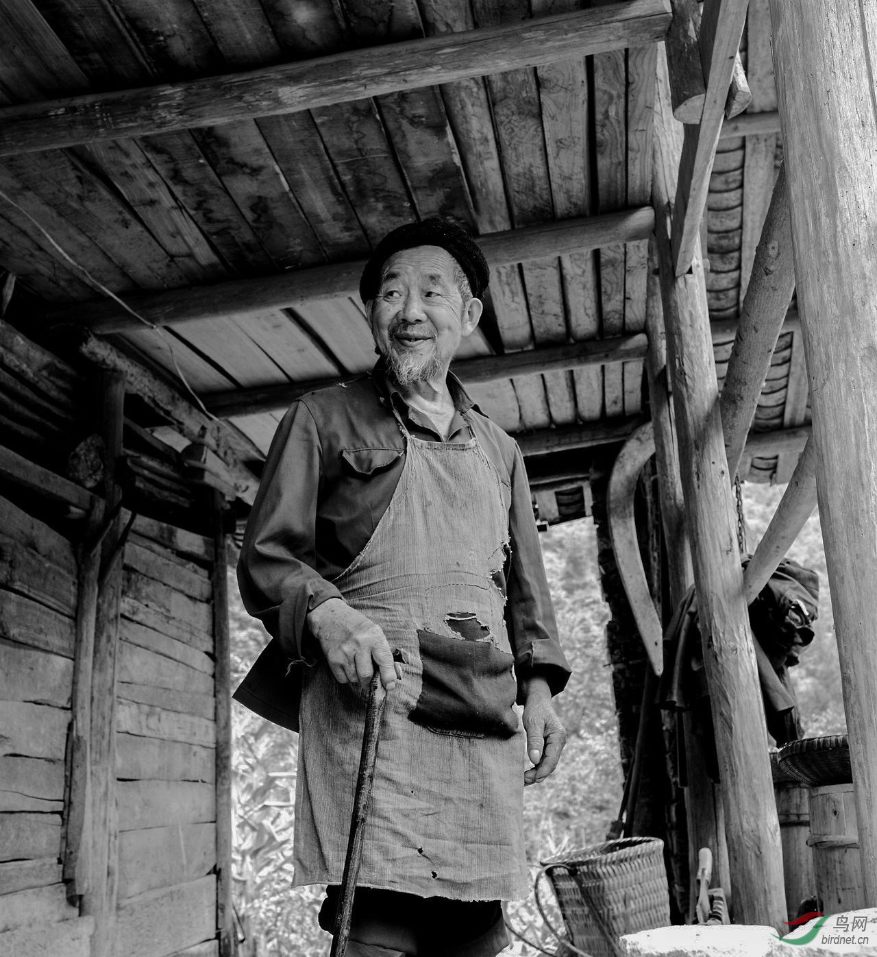 大山里的留守老人获首页精华