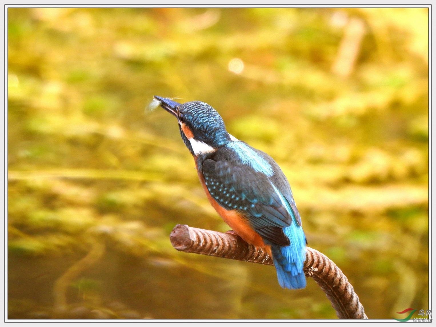 ��Ϻ��Ϻ����������ˣ�