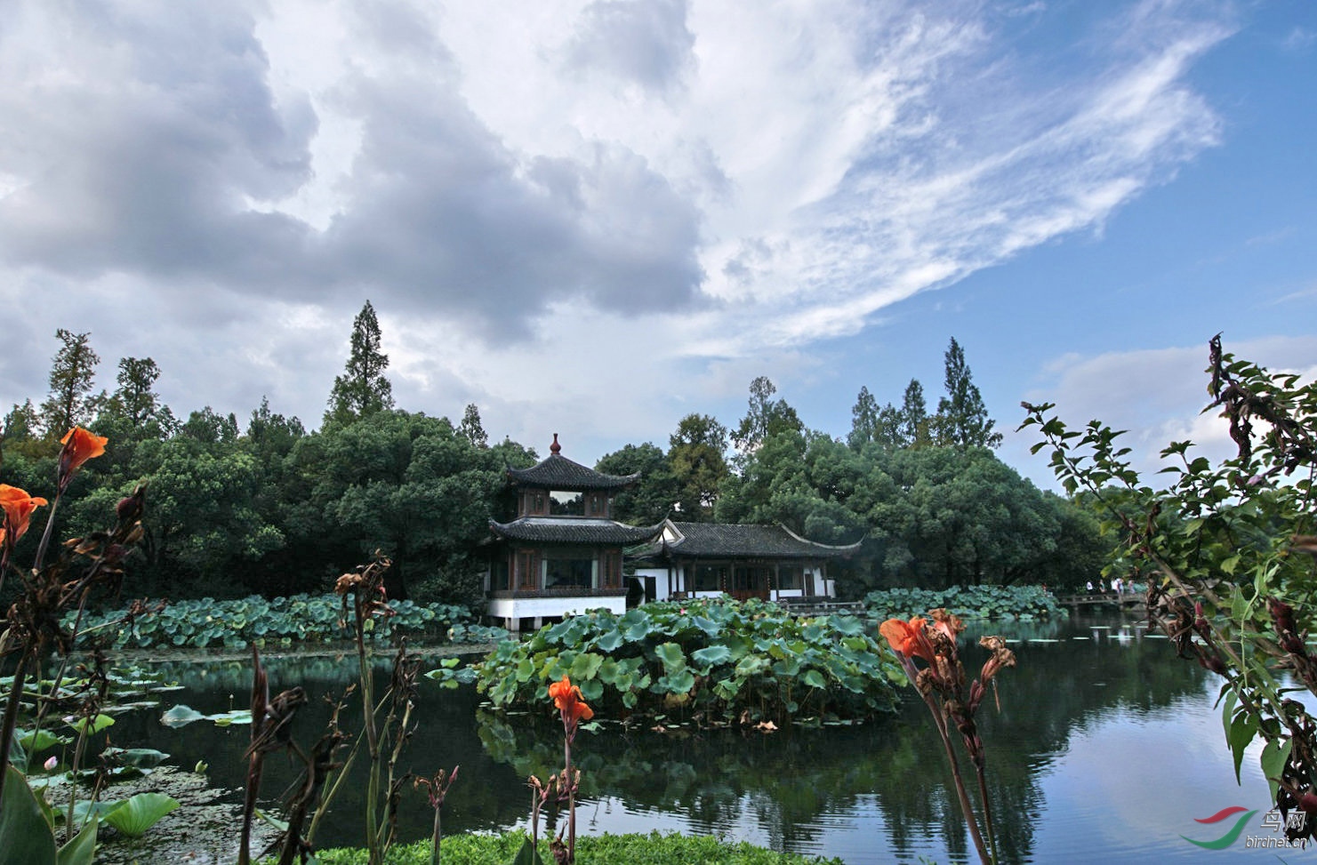 西湖麴院風荷夏景