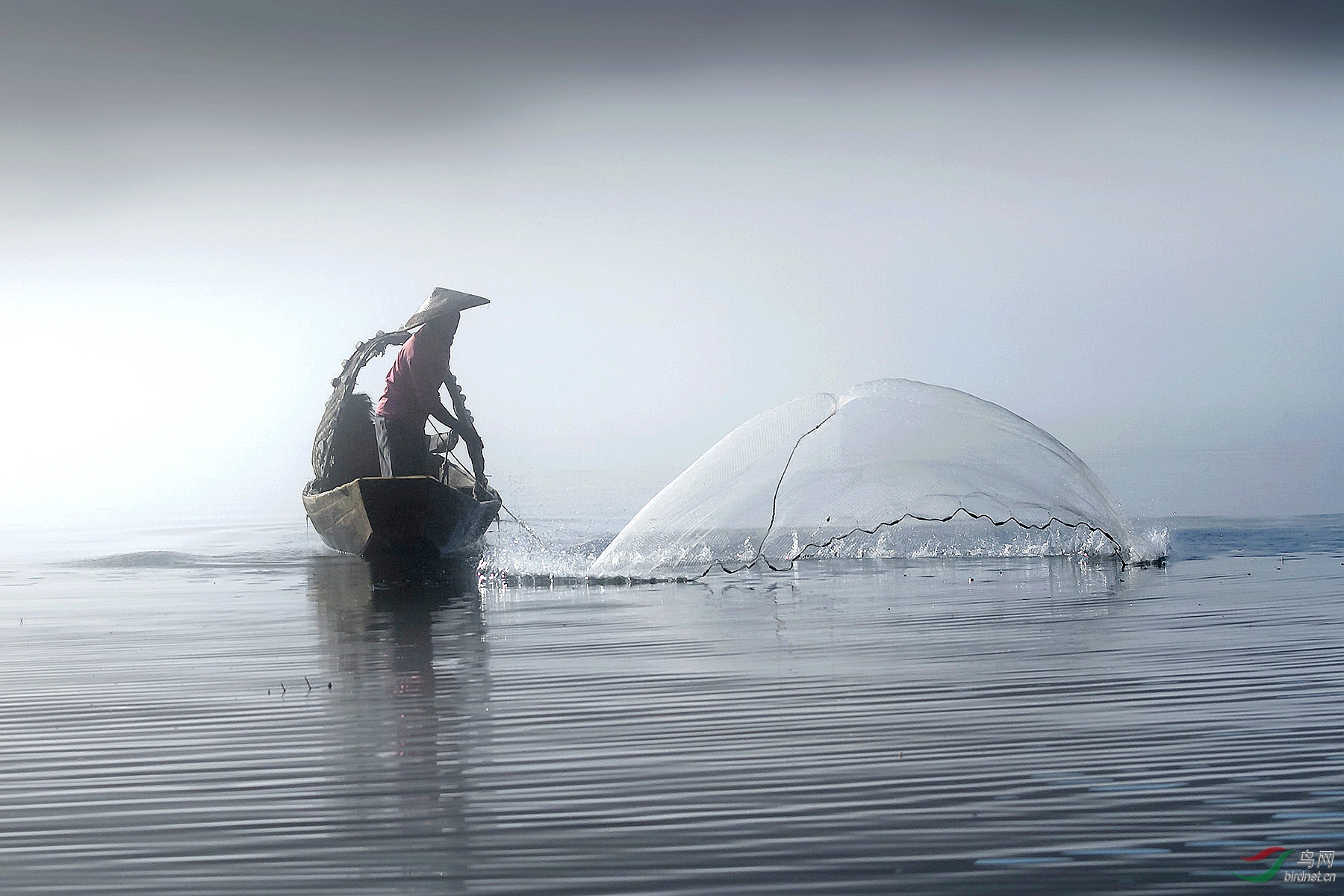 入水瞬间获首页综合精华