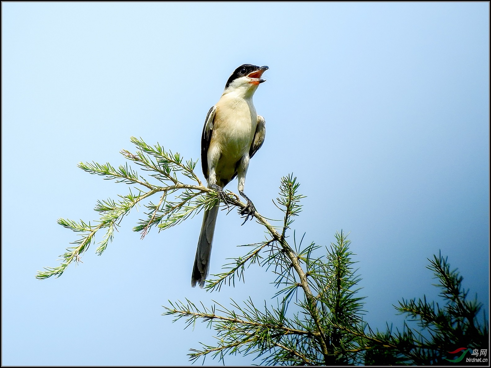 20������