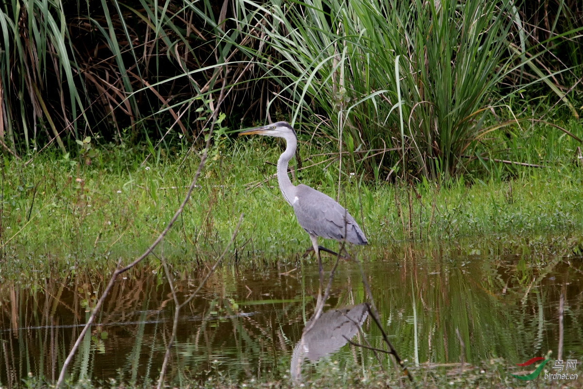 IMG_2850.JPG