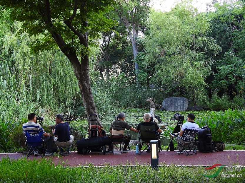 DSCN7057.JPG