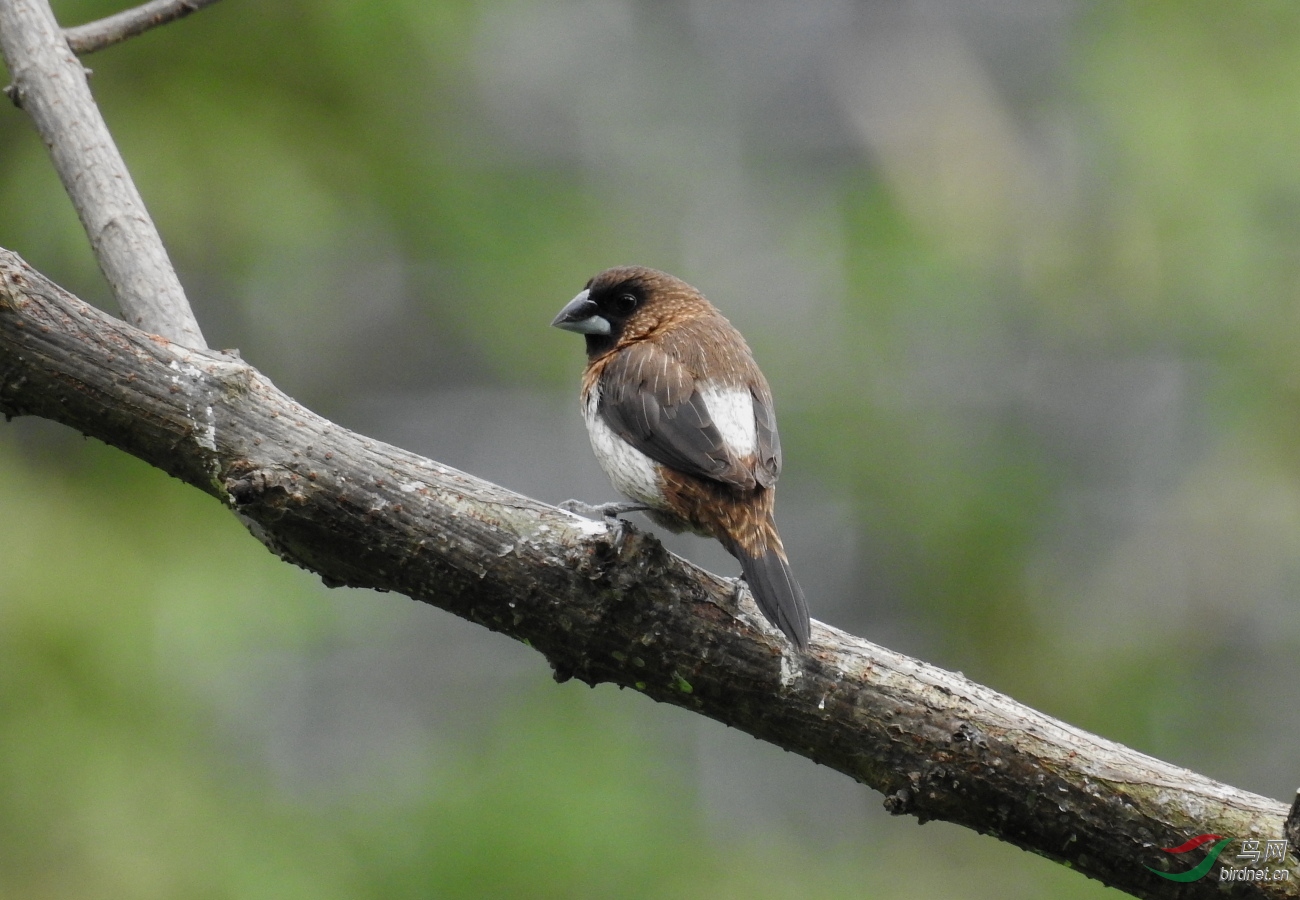 DSCN8507.JPG