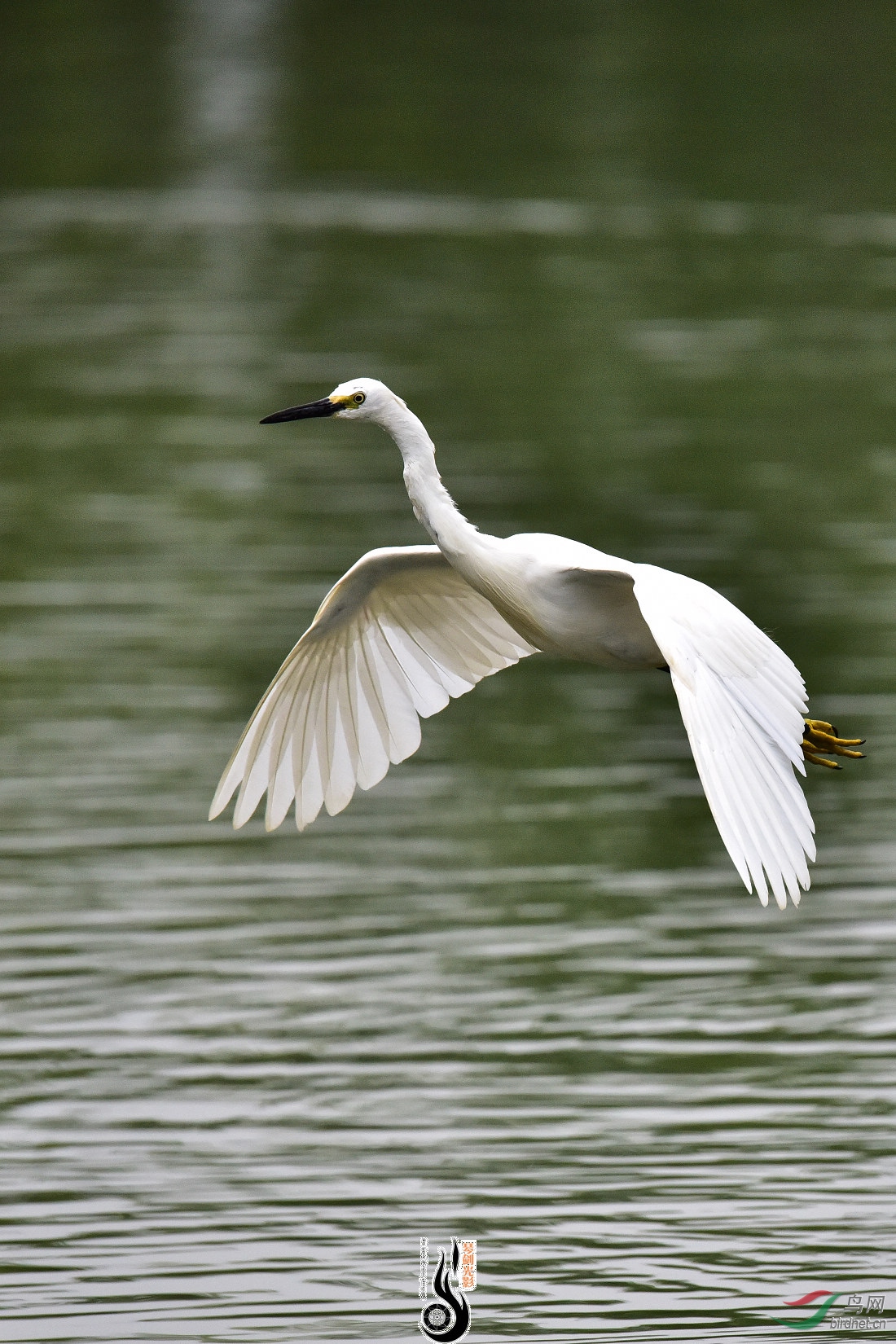 DSC_2405.JPG