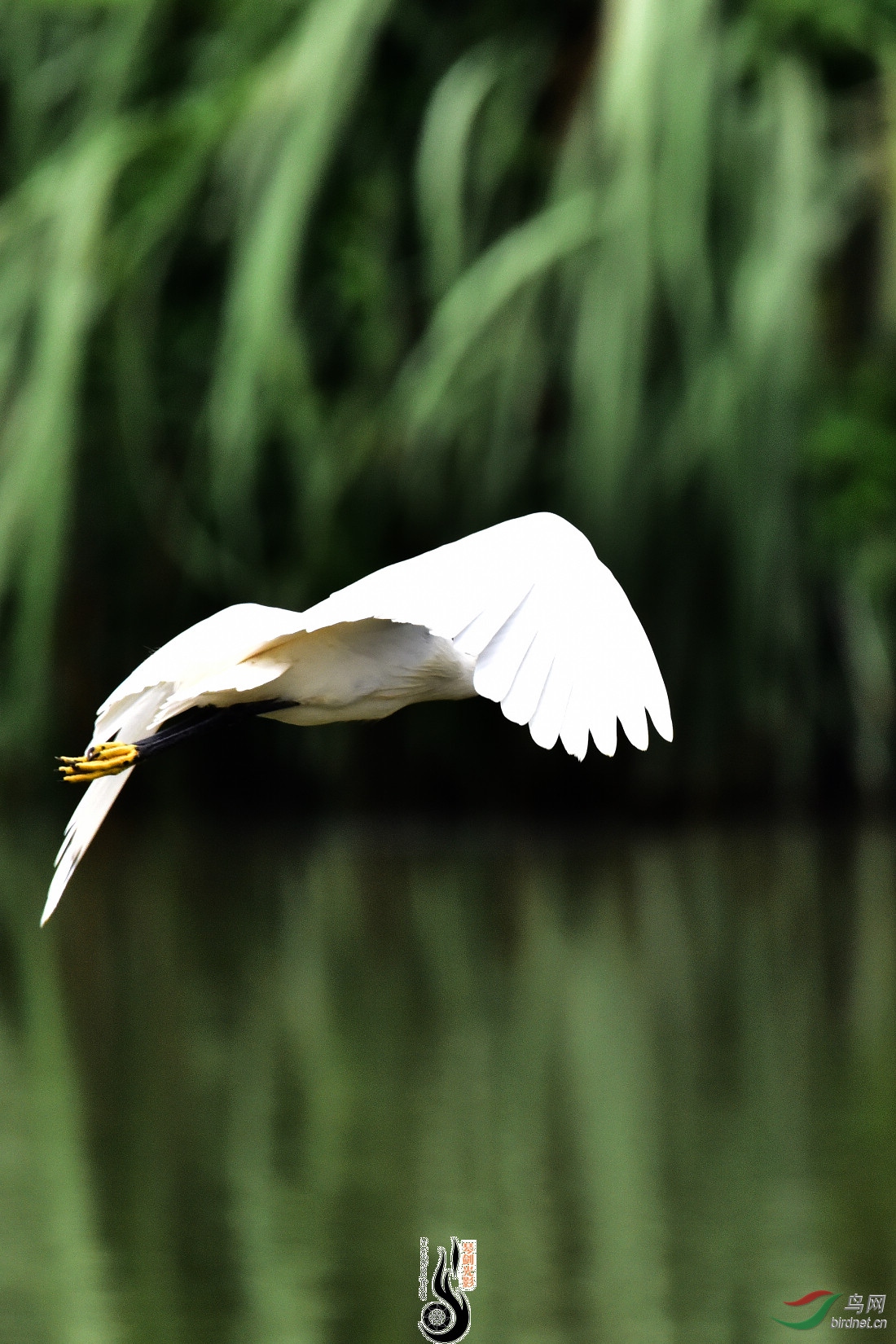 DSC_2407.JPG