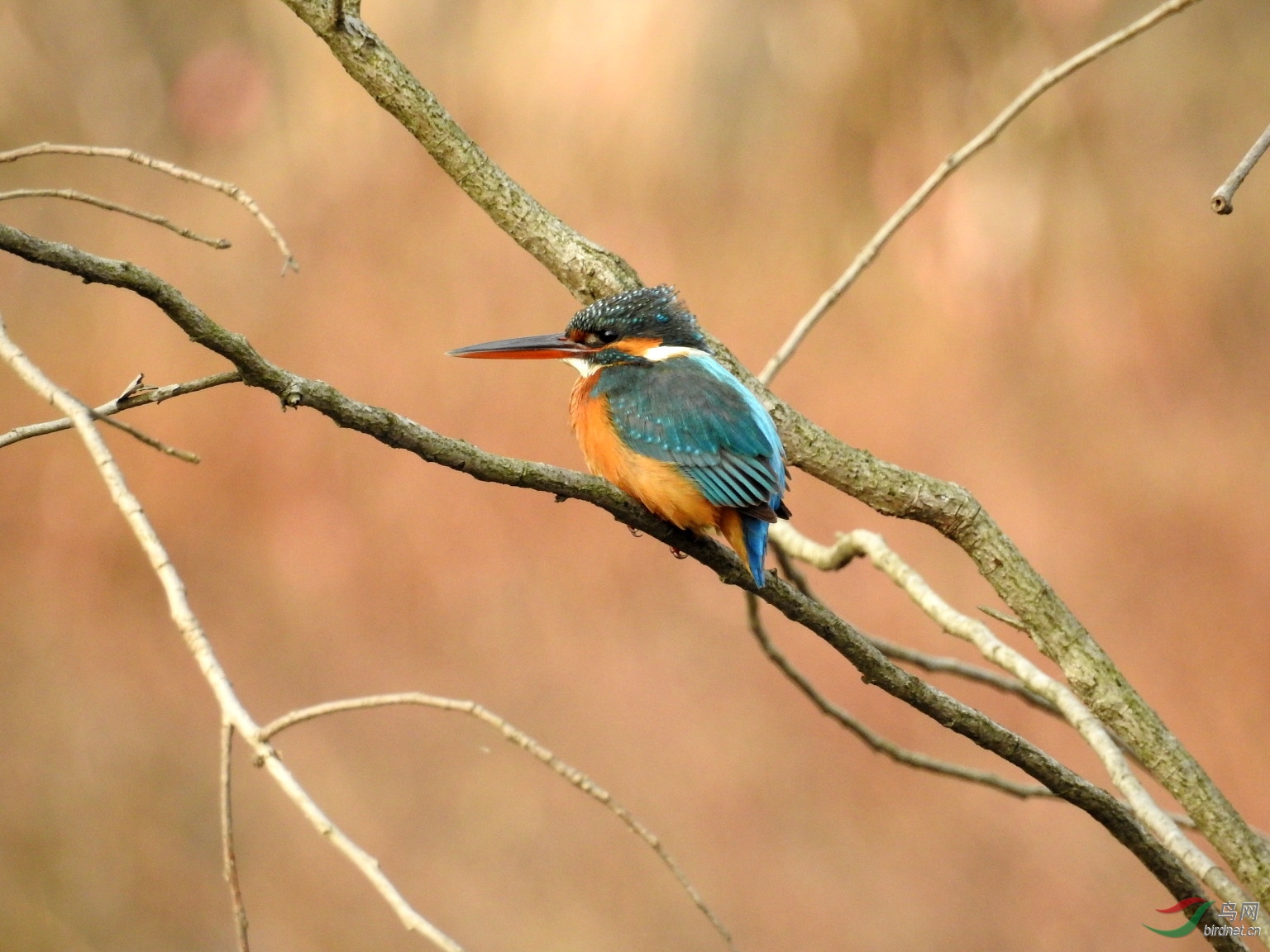 DSCN4276.JPG