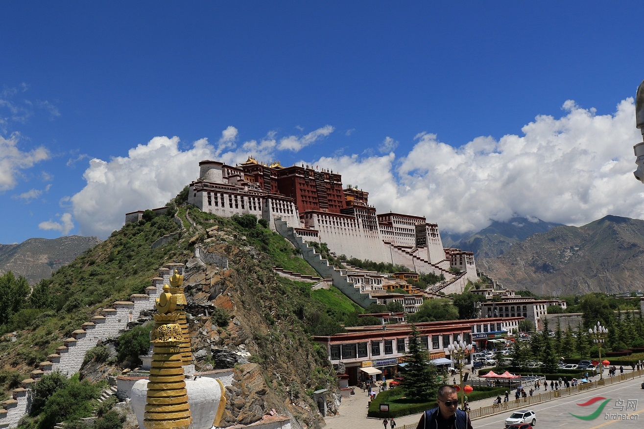 登西藏药王山拍布达拉宫全景