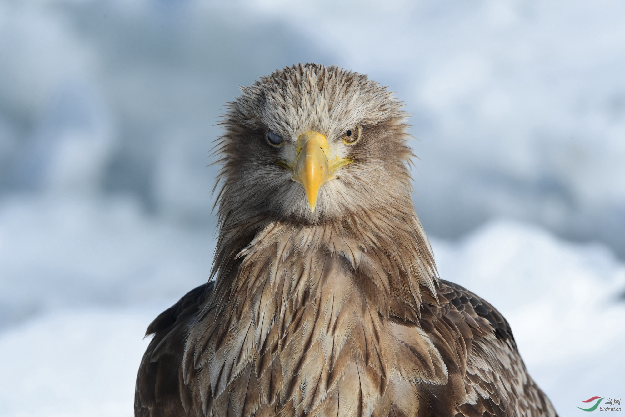 569317614 _����.jpg