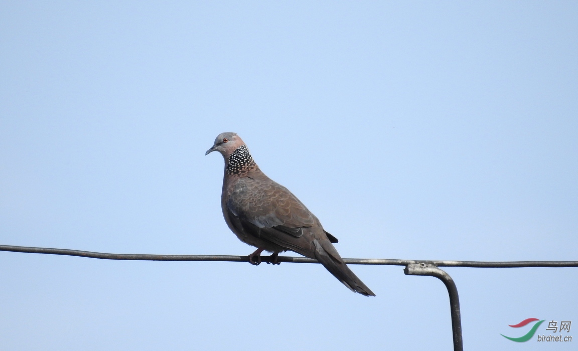 DSCN9763.JPG