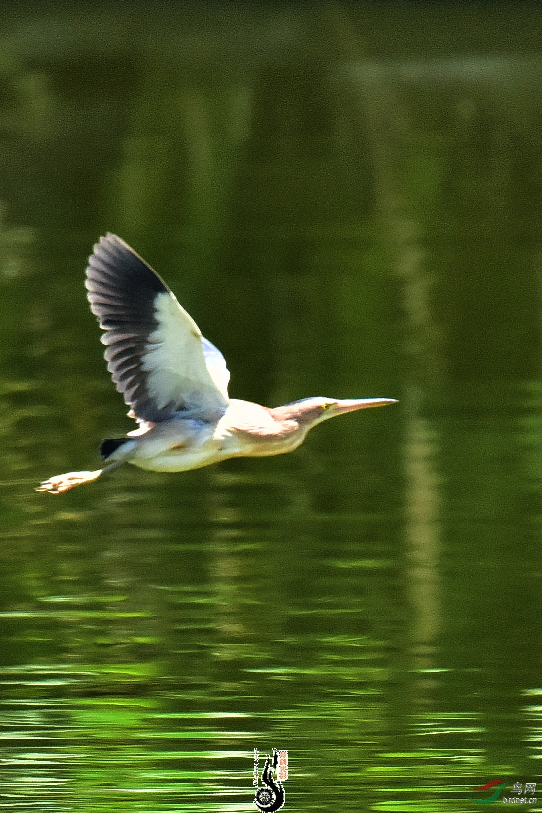 DSC_3151.JPG