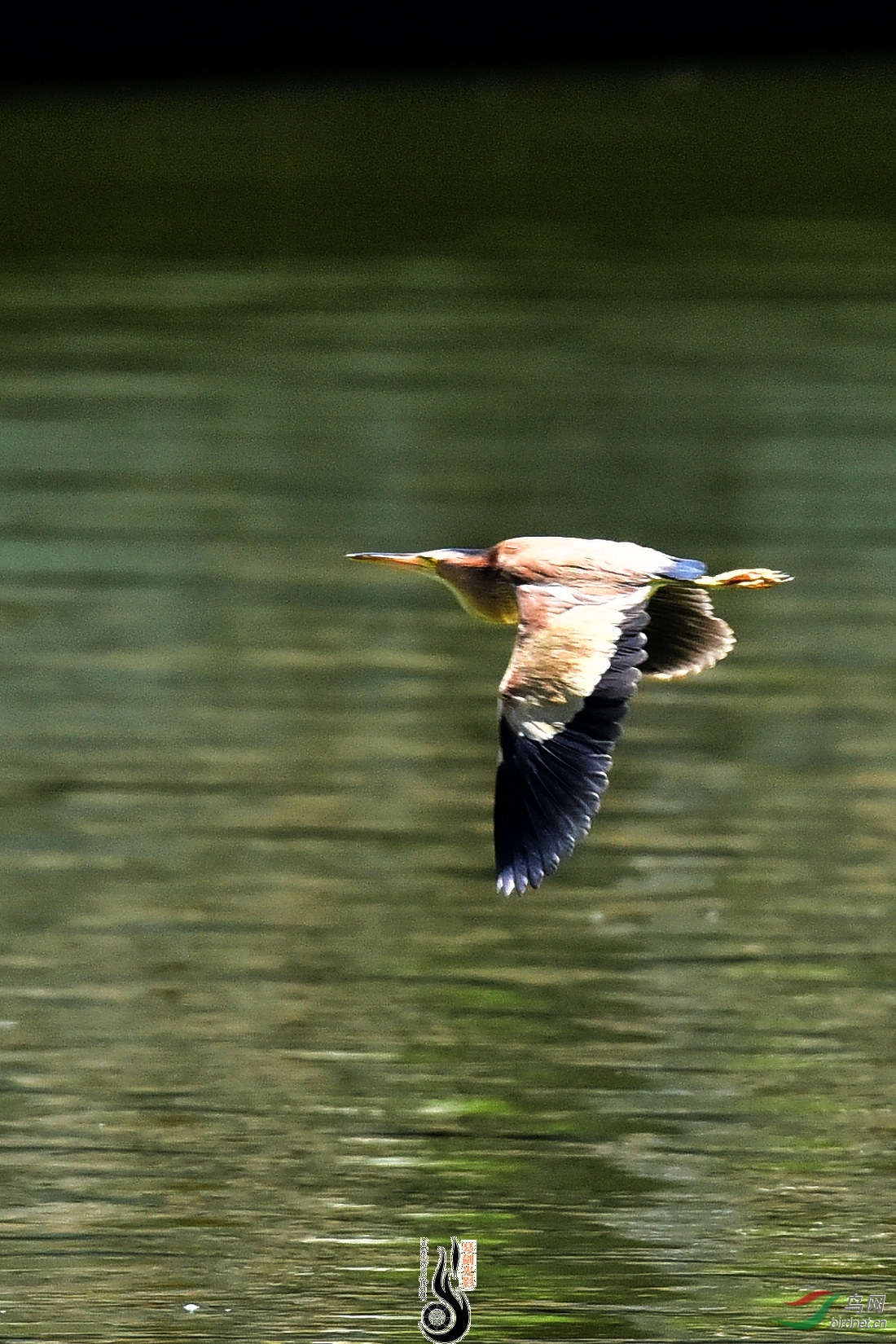 DSC_3256.JPG