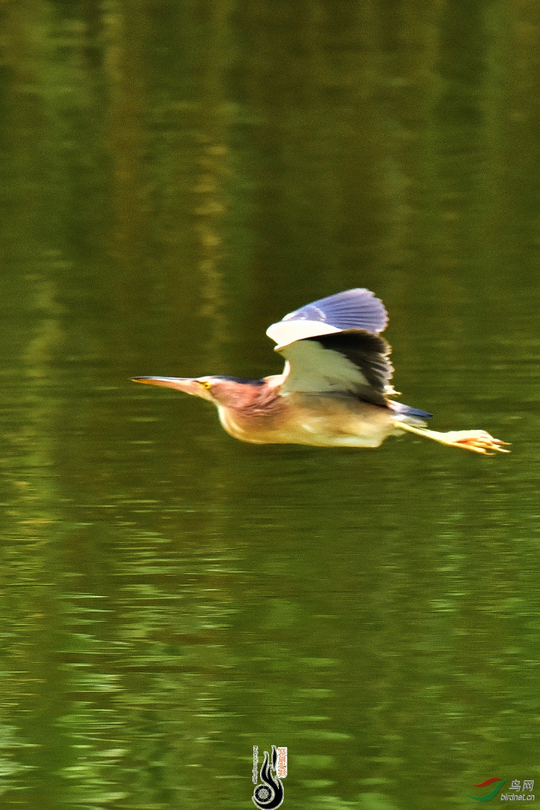 DSC_3399.JPG