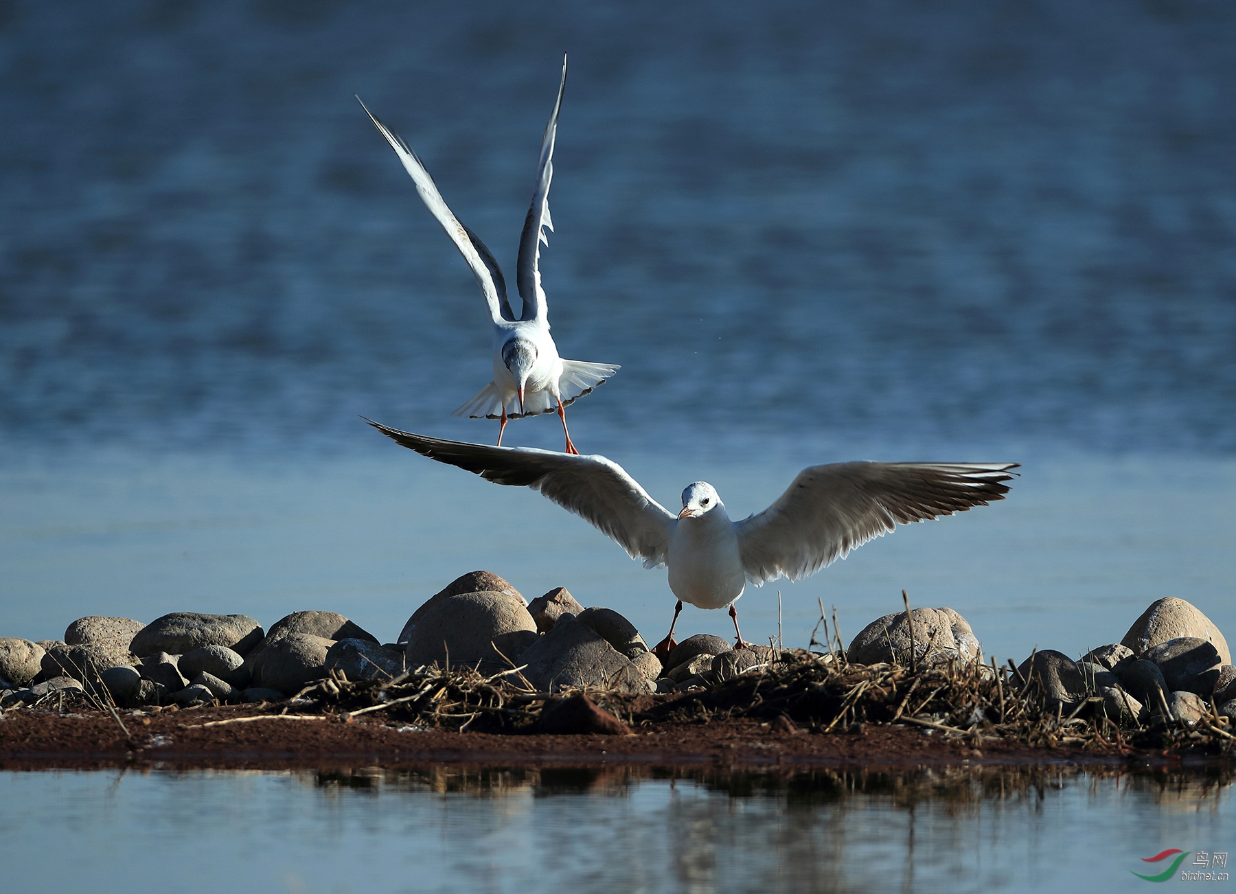 �Ӽ����� ����Ÿ.jpg