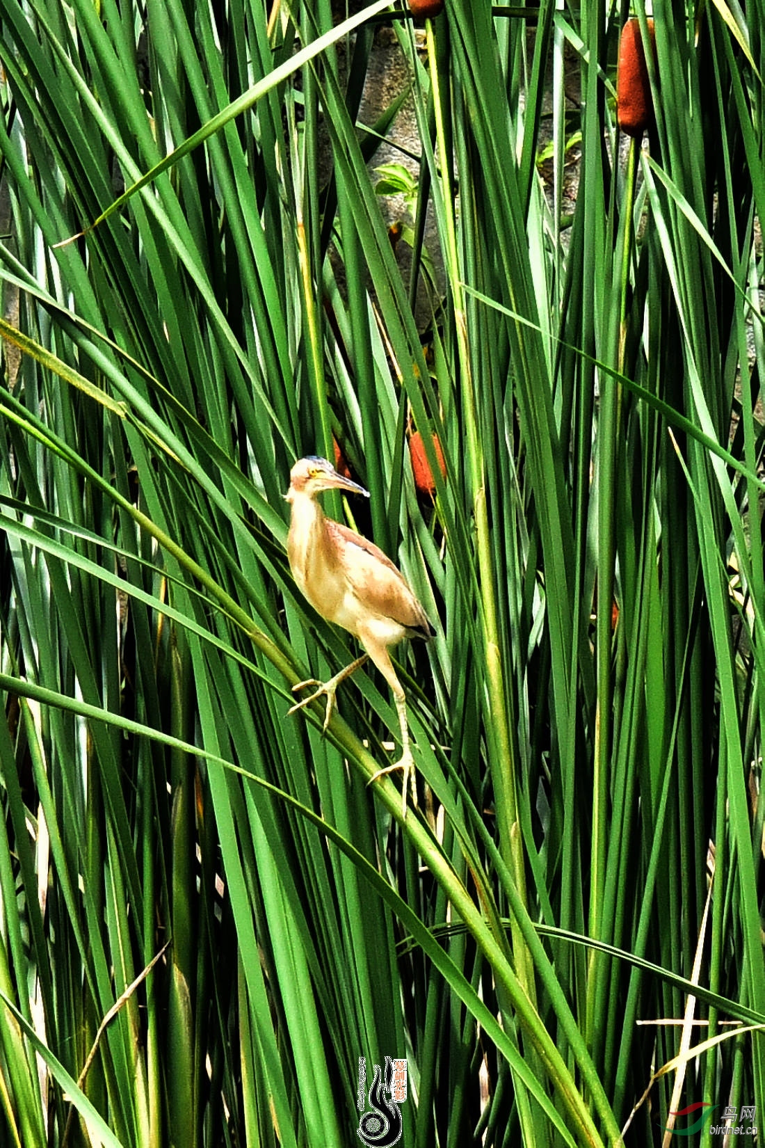 DSC_3432.JPG