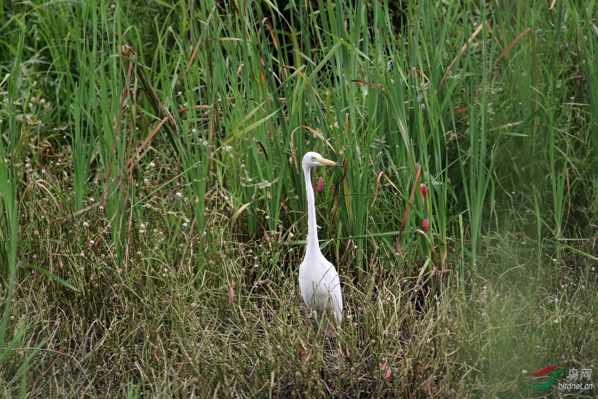 IMG_3785.JPG