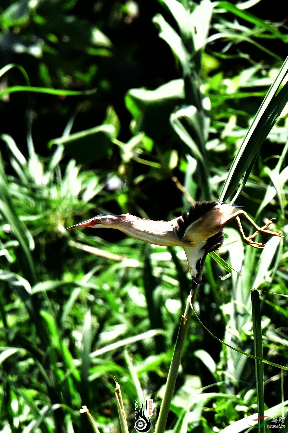 DSC_3753.JPG