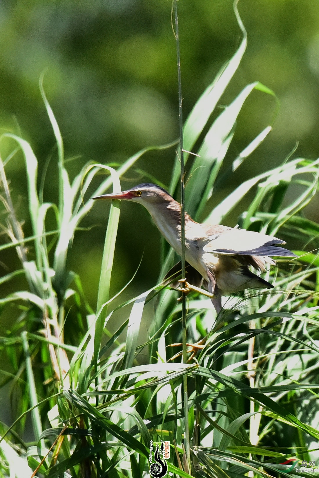 DSC_3760.JPG