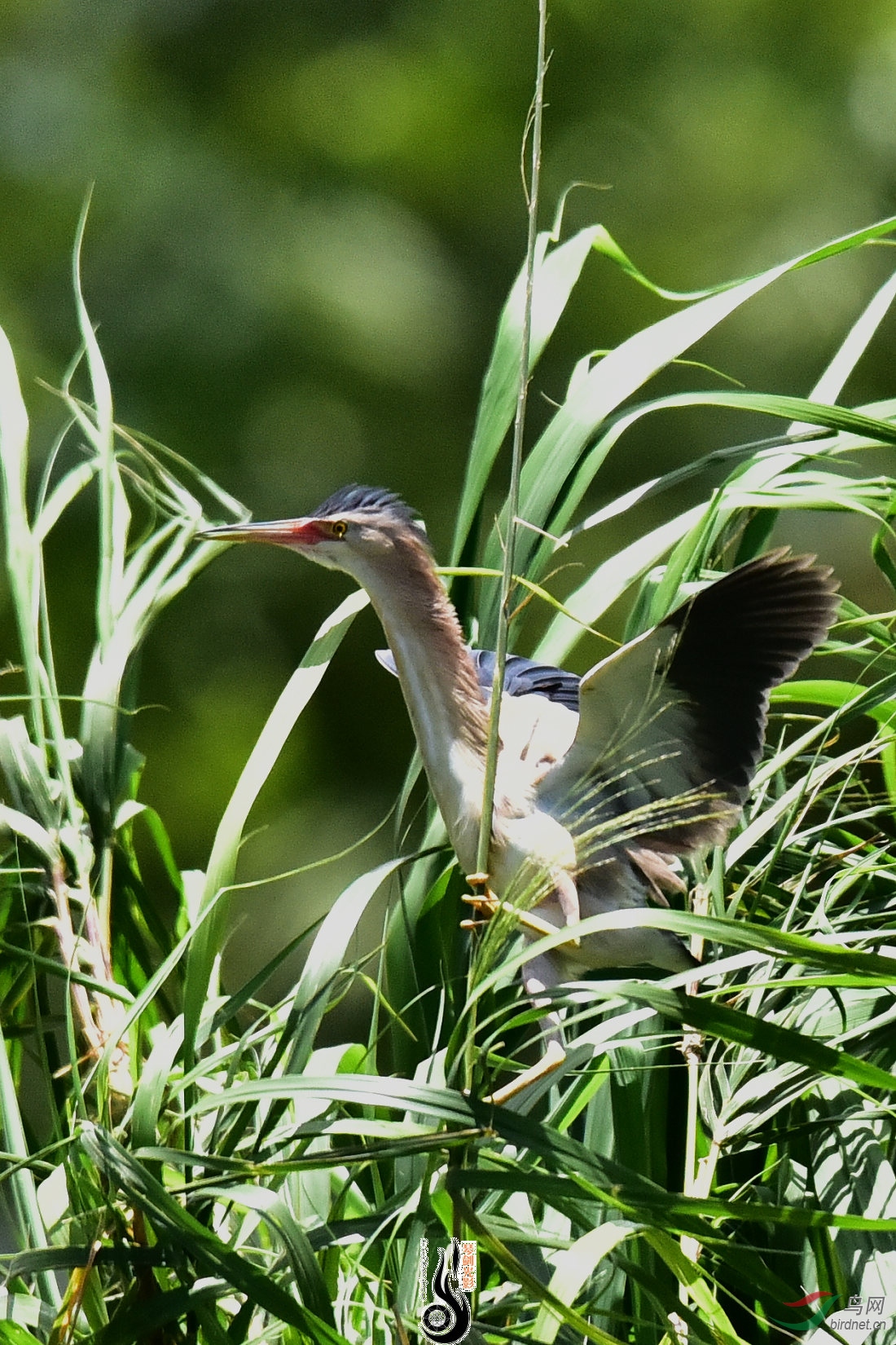 DSC_3761.JPG