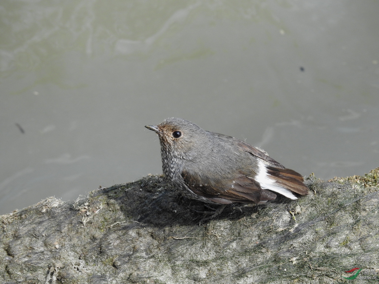 DSCN8099.JPG
