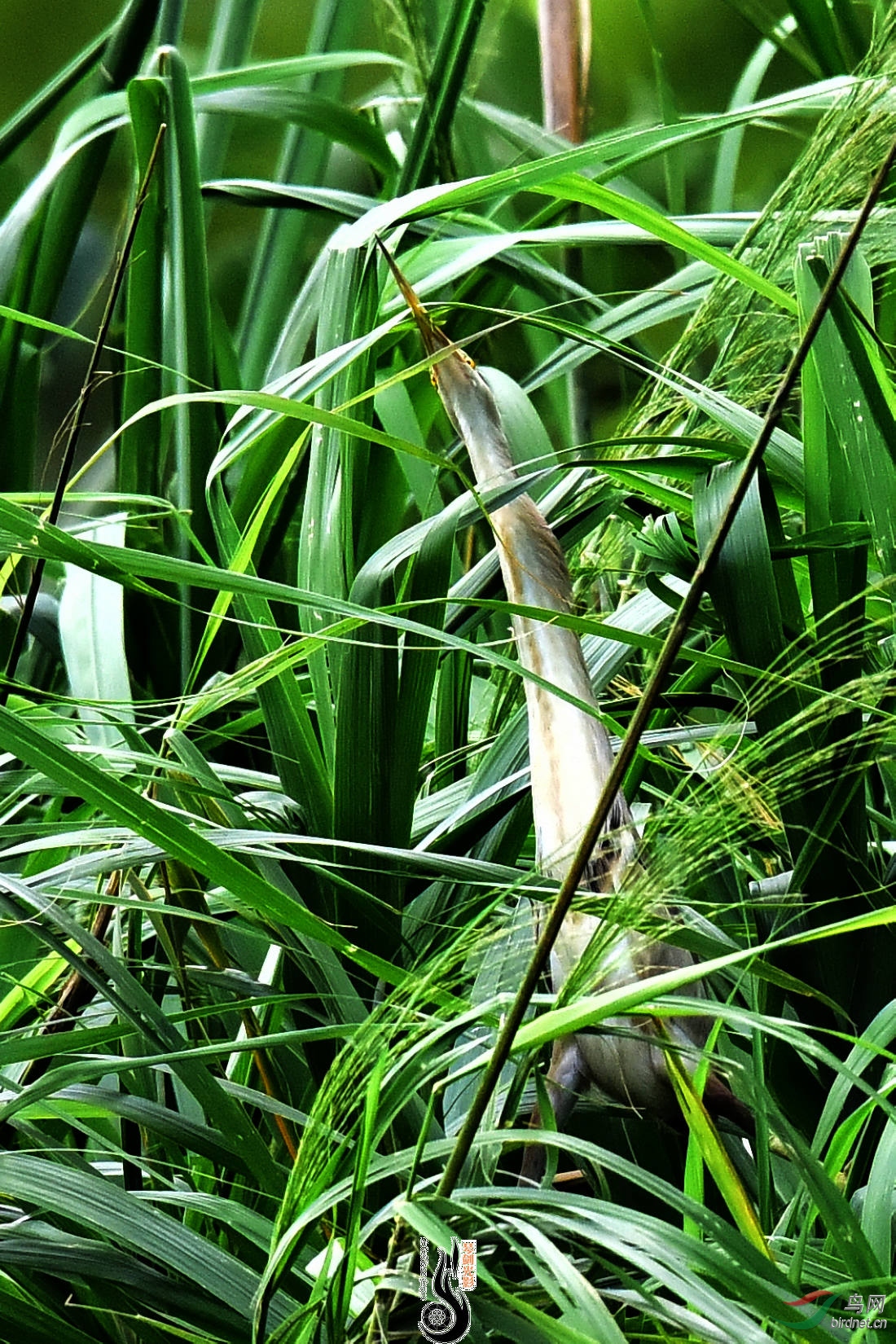 DSC_3901.JPG